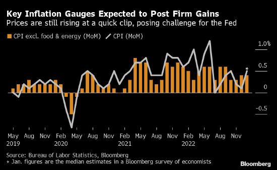 美国1月CPI料创三个月来最大环比升幅 多项因素阻止通胀回落 第2张