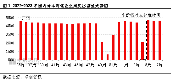 卓创资讯：白羽肉鸡春节补栏“小断档期”将至 鸡价有望延续高位