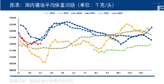 中粮期货：市场盼涨情绪强烈，生猪能否飘红？ 第4张