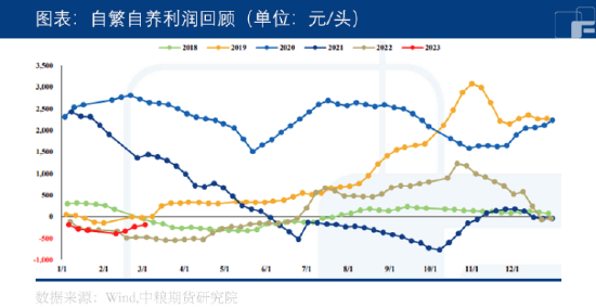 中粮期货：市场盼涨情绪强烈，生猪能否飘红？ 第5张