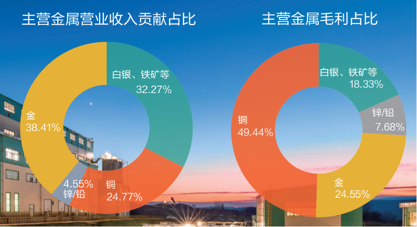 紫金矿业披露2022年报：净利首次突破200亿元大关 旗下公司14亿应收款回收仍存疑 第2张