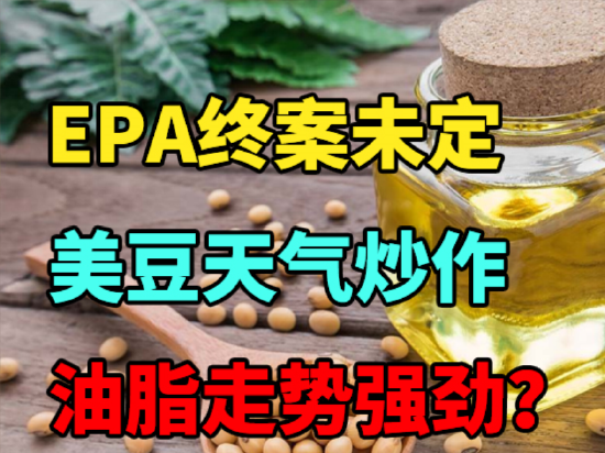 中粮期货：EPA终案未定，美豆天气炒作，油脂走势强劲？ 第2张