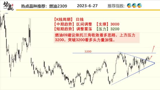 中粮势赢交易：菜油反弹延续 不断上攻 第6张