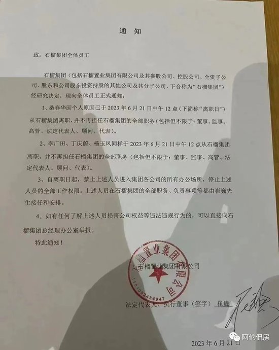 石榴置业：董事长把副董事长扫地出门，一地鸡毛的事业与友情 第1张